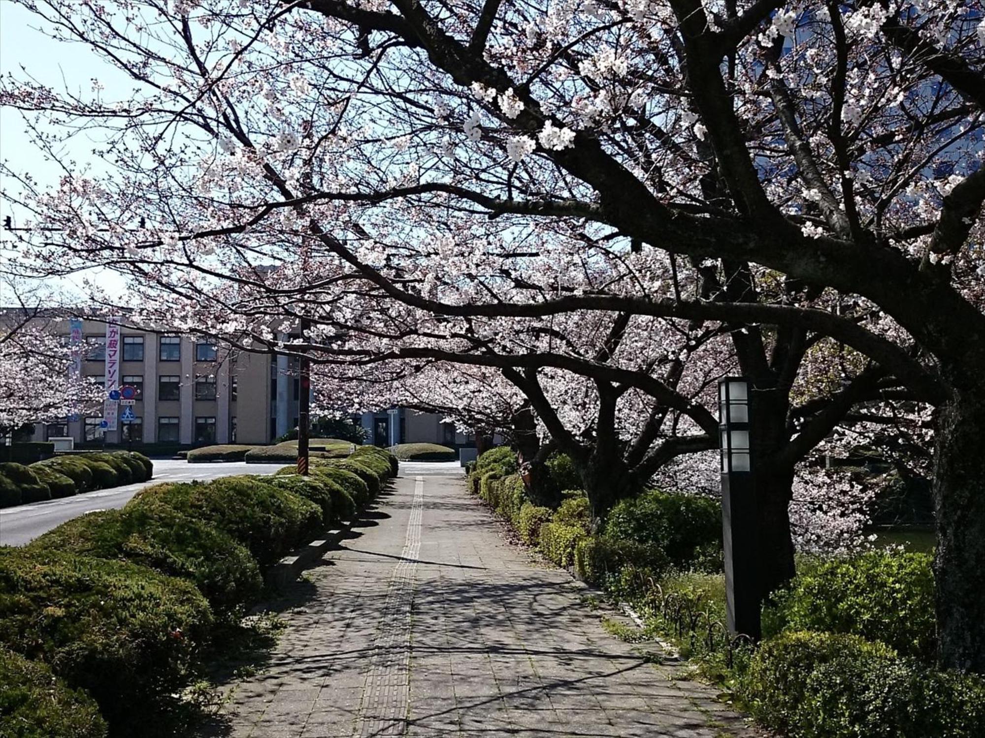 Hotel New Otani Szaga Kültér fotó